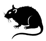 rat-clip-art-black-rat